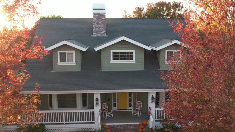Best Skylight Installation and Repair  in Larned, KS